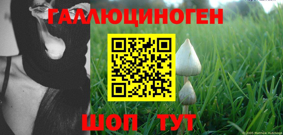 Псилоцибиновые грибы мухоморы Когалым